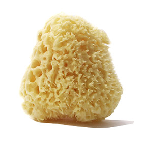 Sea sponges, loofah, sisal, face, nail and foot care, nylon