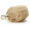 spugna-loofah