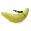 spugna-bagno-banana