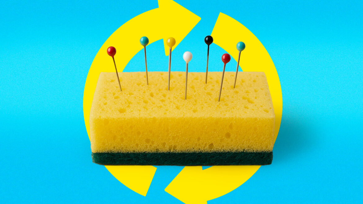 5 usi alternativi della spugna