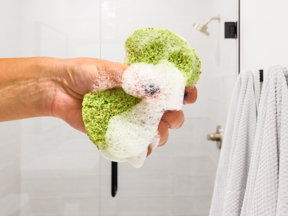 HomeSPA